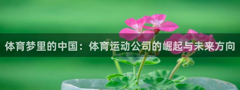 必一运动体育官网：体育梦里的中国：体育运动公司的崛起与未来方向