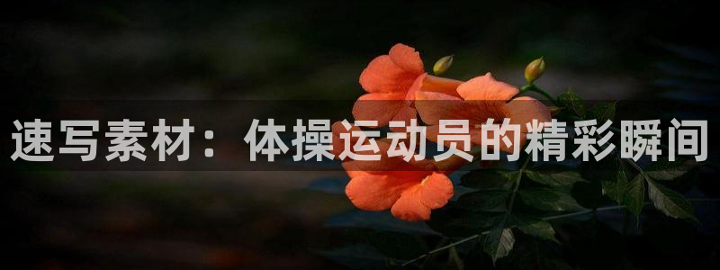 必一运动网址隐藏于