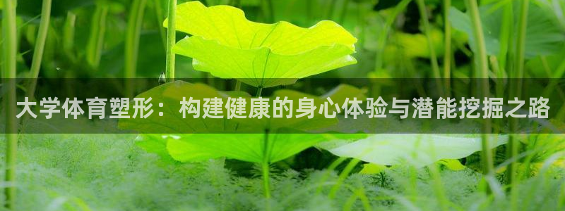 必一运动是什么