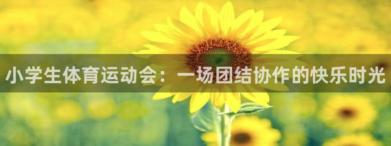 必一运动最新产品有哪些