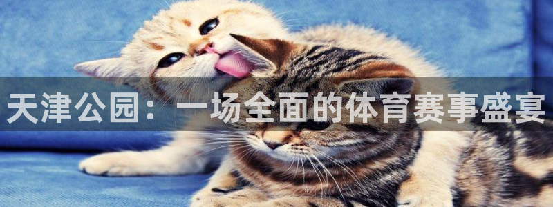 必一运动有哪些热门游戏