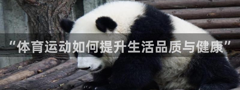 必一运动有哪些热门游戏