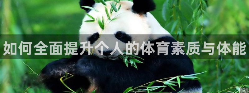 必一运动科技有限公司：如何全面提升个人的体育素质与体能
