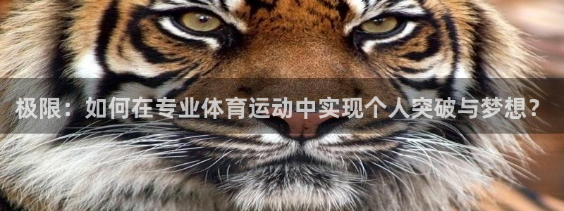 必一运动科技有限公司：极限：如何在专业体育运动中实现个人突破与梦想？